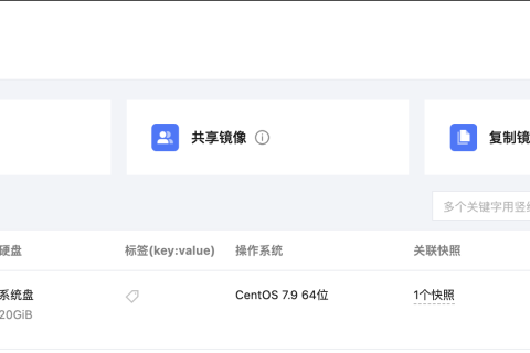 腾讯云国际代理商：腾讯云云服务器-复制镜像